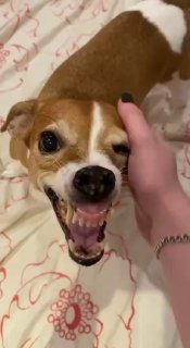 День вічно НЕзадоволених людей сьогодні відзначаєтьсяТи знаєш, кого привітатиㅤ...