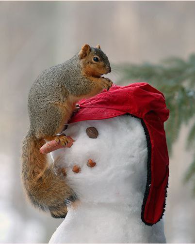 Доброго ранку!З початком нового робочого тижня морози в Україні нікуди не зникну...
