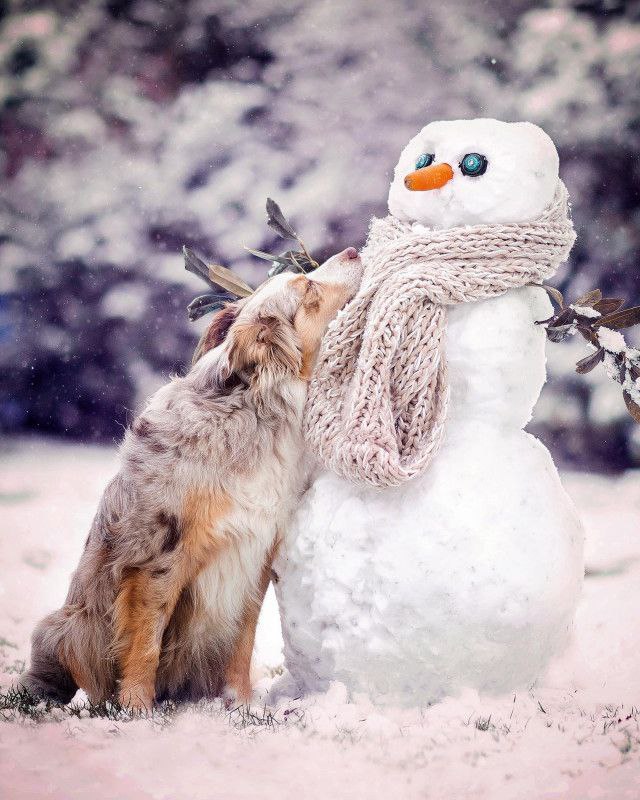 Доброго ранку!Новий робочий тиждень в Україні розпочнеться з морозами На заході:...