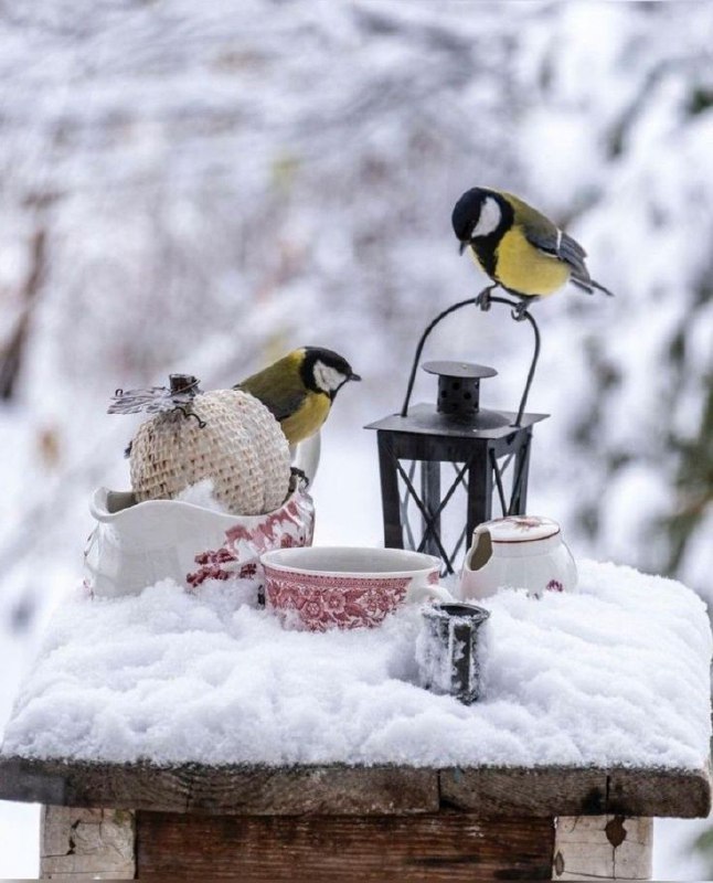 Доброго ранку!Сьогодні погода в Україні продовжуватиме поступово змінюватися. У ...