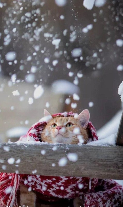 Доброго суботнього ранку!Сьогодні практично по всій Україні буде "плюс", тому за...