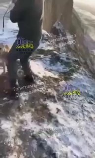 Жах... підлітки розкрутили собаку на повідку та кинули з великої висоти з обриву...