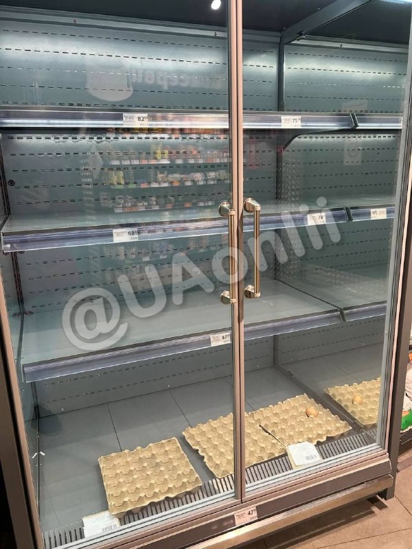 З магазинів зникають не лише хліб, а й яйця та м’ясо — полиці супермаркетів майж...