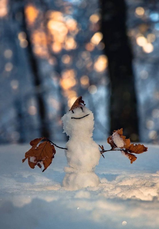 Завтра в столиці -7, сніг та ожеледиця Ось і він - початок погодного апокаліпсис...