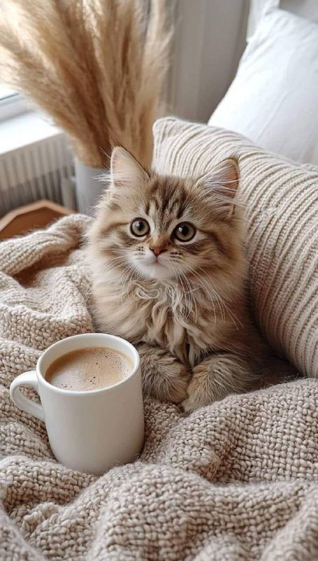 Завтра в столиці сонячні -12Треба ще трошки потерпіти: теплі панчохи, шапки та ш...