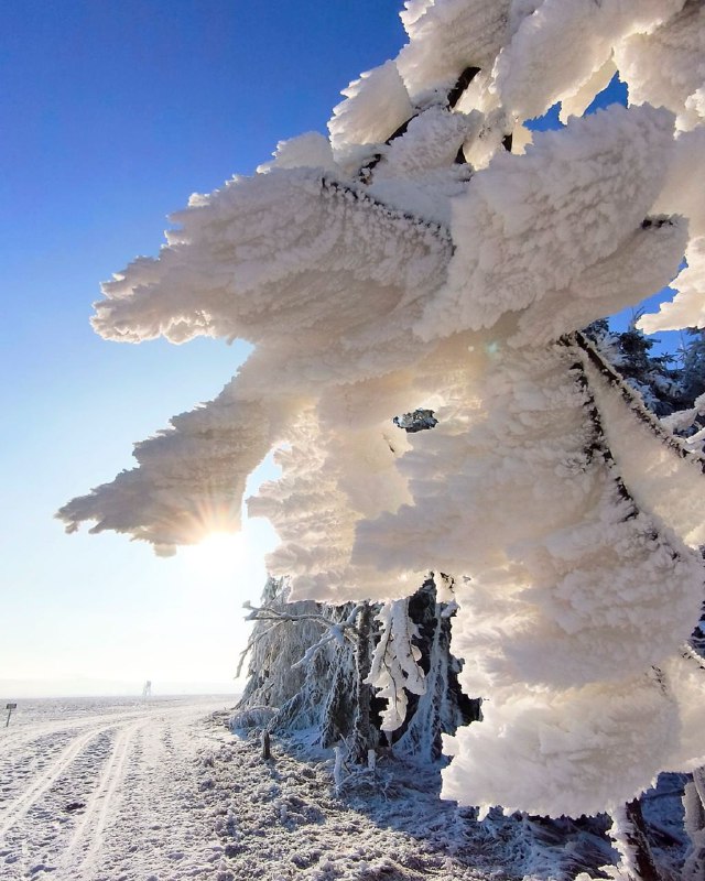 Максимально морозна атмосфера в Рудних горах Німеччини: в мережі показали вража...