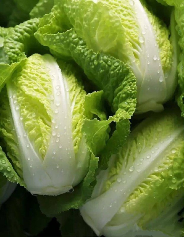 Омолоджує, очищує організм і попереджає авітаміноз: чому варто їсти пекінську ка...