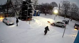 У Львові якась погань двічі переїхала собаку і втекла. Інші люди просто стояли і...