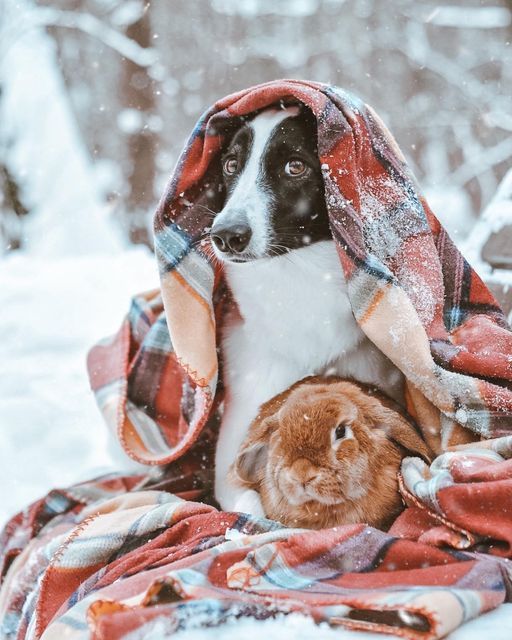 Холодний апокаліпсис наближається: в Україну йдуть 20-градусні морози та нова хв...